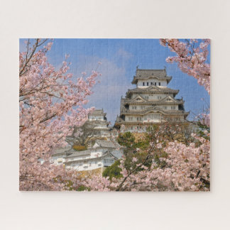 Frühjahrskirsche Blüten auf Himeji Castle in Japan