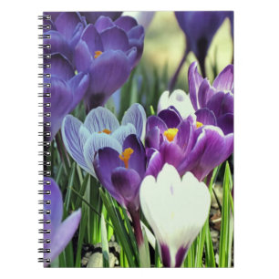 Frühjahrskurse - Notebook Notizblock