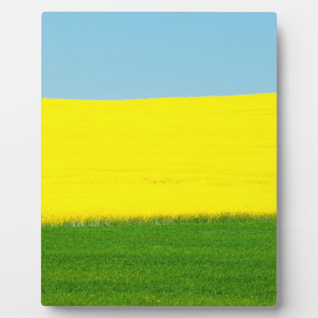 Frühjahrslandschaft Fotoplatte (Vorderseite)