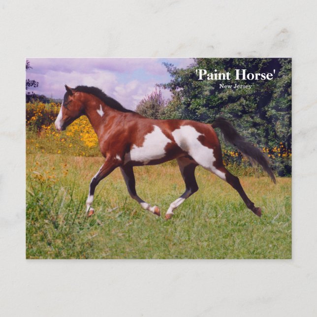 Frühjahrspalte Pferdepostkarte Postkarte (Vorderseite)