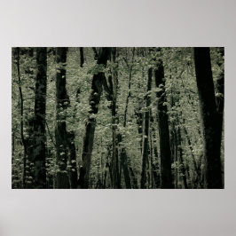 Frühjahrspflanzen Poster