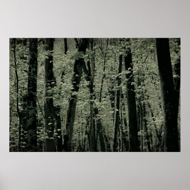 Frühjahrspflanzen Poster (Vorne)