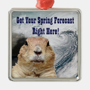 Frühjahrsprognose für die Groundhog Ornament Aus Metall
