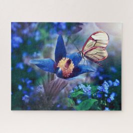 Frühjahrsschmetterling auf blauer Blume