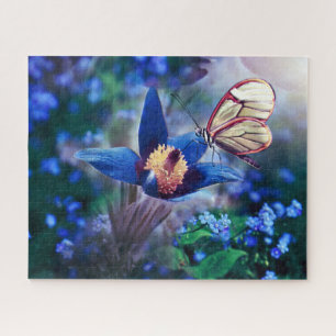 Frühjahrsschmetterling auf der blauen Blume