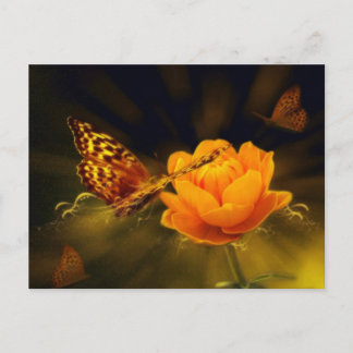 Frühjahrsschmetterling auf der Rosen Postkarte