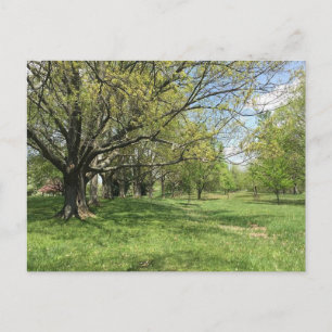 Frühjahrsspaziergang Postkarte