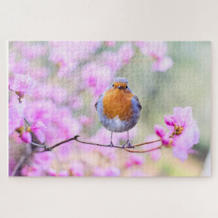 Frühjahrsvogel mit rosa Blume