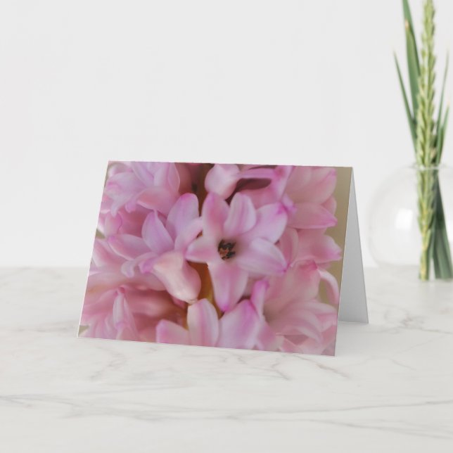 Frühjahrszeit Hübsch rosa Hyazinthe-Karte Karte (Vorderseite)