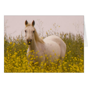 Frühling