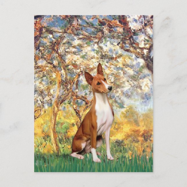 Frühling - Basenji Postkarte (Vorderseite)
