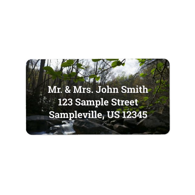 Frühling Blätter am Kleinen Taubenfluss Adressaufkleber (Vorne)