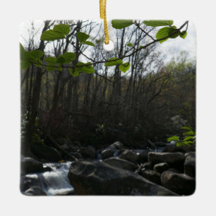 Frühling Blätter am Kleinen Taubenfluss Keramikornament