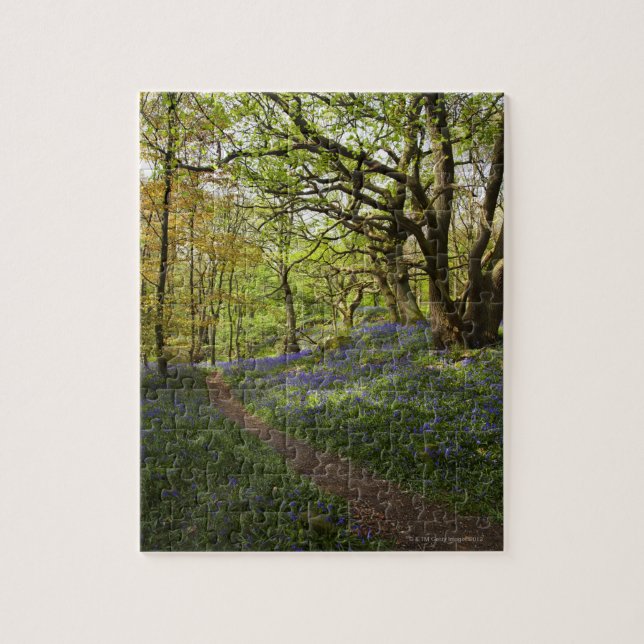 Frühling Bluebellholz (Vertikal)