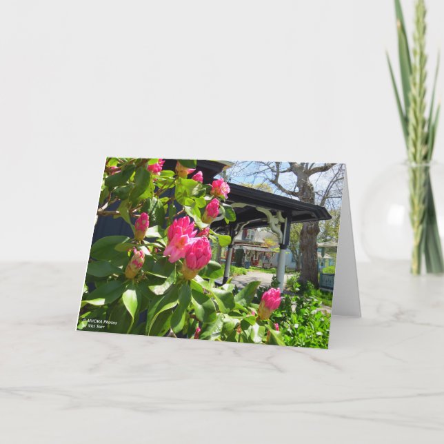 Frühling blüht in der Hütte City - Martha's Vineya Karte (Vorderseite)
