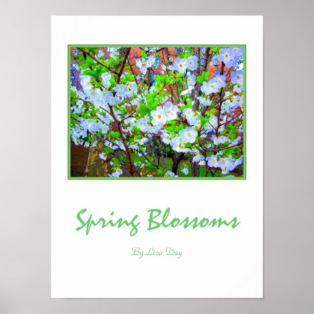 "Frühling blüht" Plakat (Vorne)