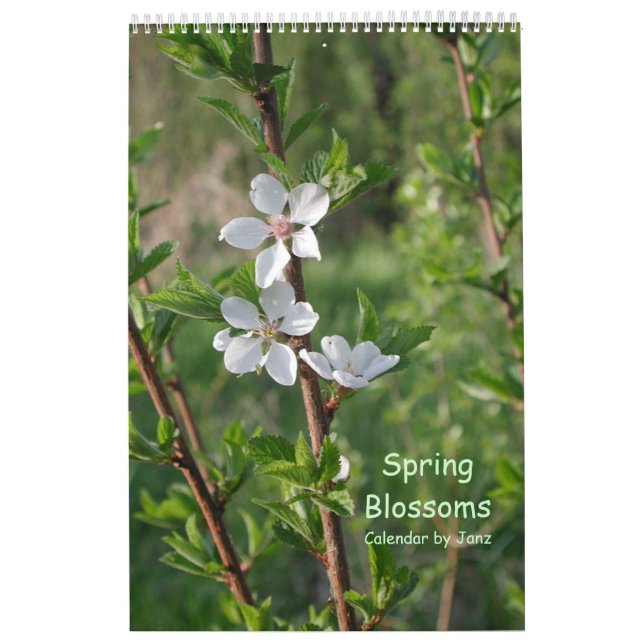 Frühling blüht Wandkalender durch Janz (Titelbild)