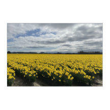 Frühling der Düfte in der PNW-Akrylkunst
