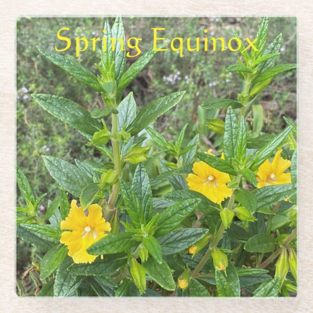 Frühling Equinox Glasuntersetzer (Vorderseite)
