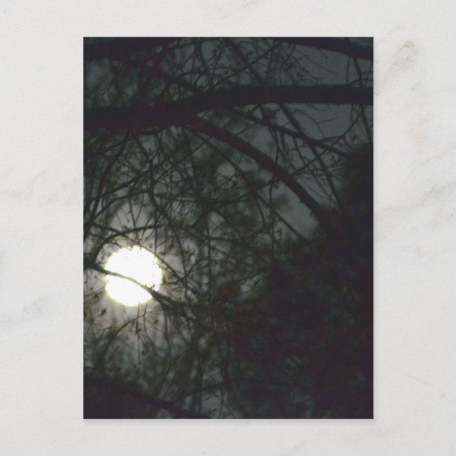 Frühling Equinox Vollmond Postkarte (Vorderseite)