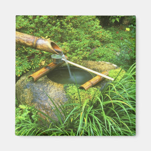 Frühling für Teezeremonie, Sanzen-in-Tempel, Magnet