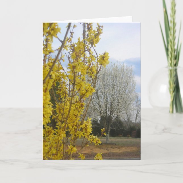 Frühling - Grußkarte Karte (Vorderseite)