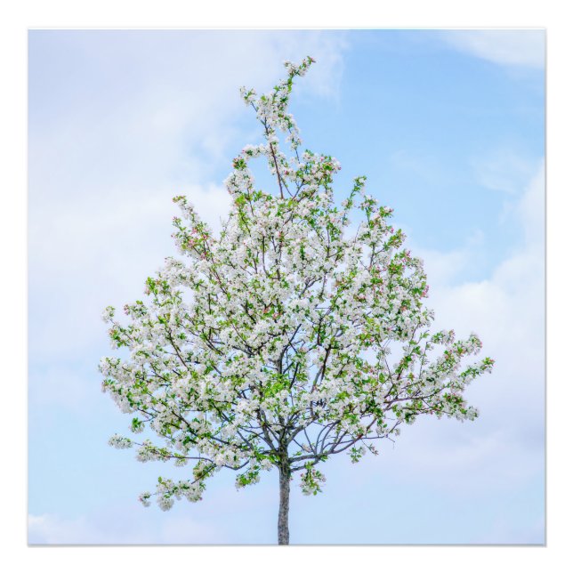 Frühling - Happy Oaster Fotodruck (Vorne)