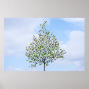 Frühling - Happy Oaster Poster