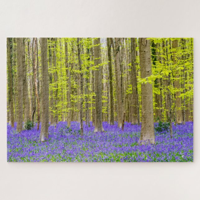 Frühling im Blauen Wald (Horizontal)