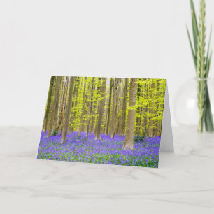 Frühling im Blauen Wald Karte