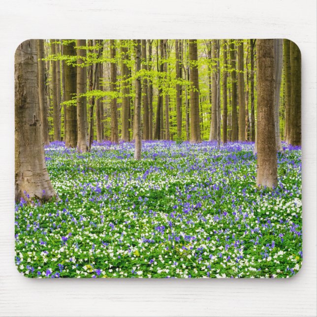 Frühling im Blauen Wald Mousepad (Vorne)