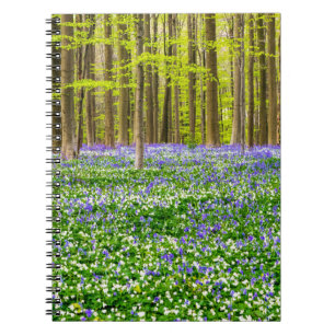 Frühling im Blauen Wald Notizblock
