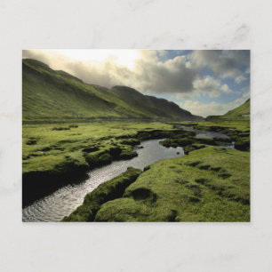 Frühling im schottischen Hochland Postkarte