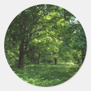 Frühling im Wald 01 Runder Aufkleber