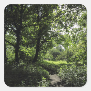 Frühling im Wald 03 Quadratischer Aufkleber