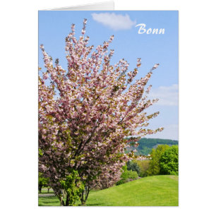 Frühling in Bonn