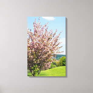 Frühling in Bonn Eingewickelte Leinwand