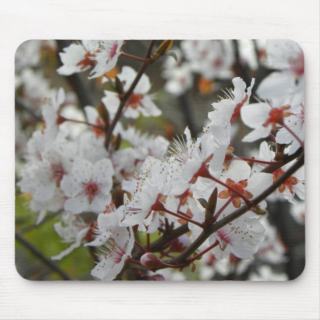 Frühling in Canberra Mousepad (Vorne)