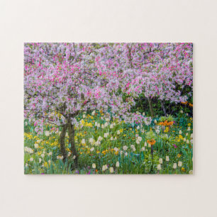 Frühling in Claude Monets Garten