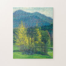Frühling in den Bergen von Vermont