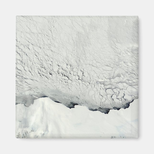 Frühling in der Antarktis Magnet (Vorne)