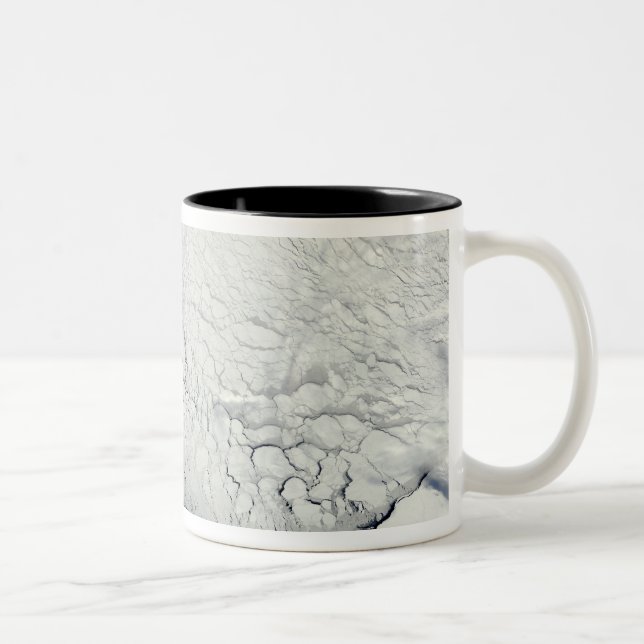 Frühling in der Antarktis Zweifarbige Tasse (Rechts)