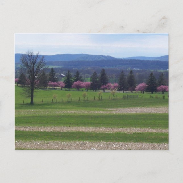 Frühling in Gettysburg Postkarte (Vorderseite)