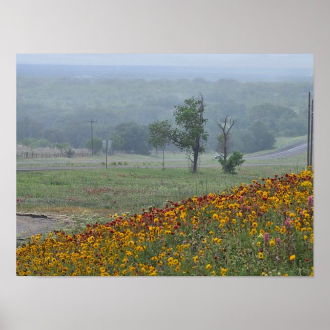 Frühling in Texas Poster (Vorne)