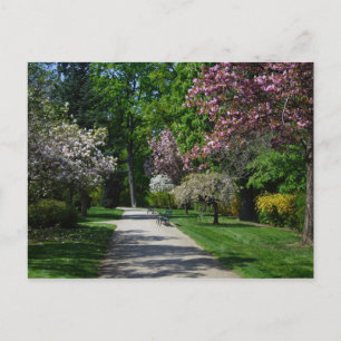 Frühling in Wien Postkarte