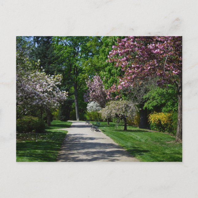 Frühling in Wien Postkarte (Vorderseite)