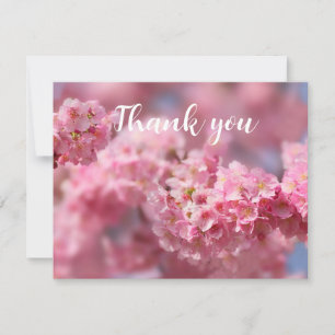 Frühling Kirschblüten Floral Sakura Danke
