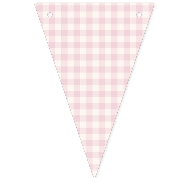 Frühling Klassisches Gingham | Soft Blush Wimpelkette (Erste Fahne)