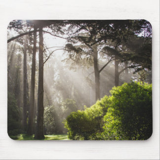 Frühling kommt mousepad
