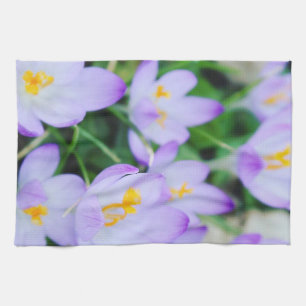 Frühling Lila Crocus Blooms Küchentücher